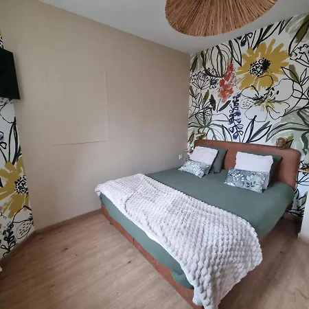 Le Petit Marais Apartment Saint-Martin-Lez-Tatinghem